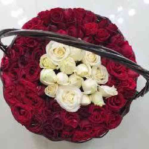 دانلود آهنگ می‌روم می‌روم من از پی‌اش دوباره درد و غم نگاره خالوا